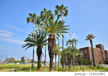 旧九州大学箱崎キャンパス跡地　スマートシティ計画 119322981