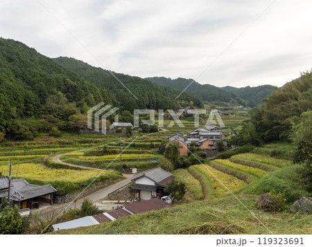 明日香村に広がる細川の棚田 119323691