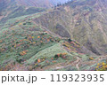 苗場山の山頂へ向かう稜線 119323935