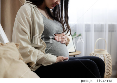 Midsection portrait of happy, beautiful, young careless pregnant woman holding, touching her baby bump, belly with arms. Sitting on sofa near window at home. Mother-to-be. Precious moment in life 119324481