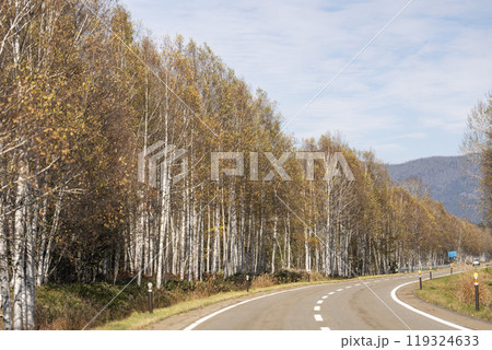 秋の道道273号線からみた紅葉の風景 北海道上士幌町 秋の道道273号線からみた紅葉の風景 北海道上士幌町 119324633