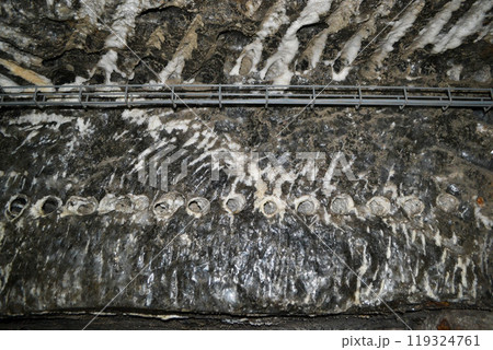 Close Up of marine Salt lake texture and sea salt particles 119324761