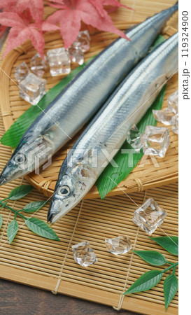 秋の味覚|生のサンマ 秋の味覚|生のサンマ 119324900