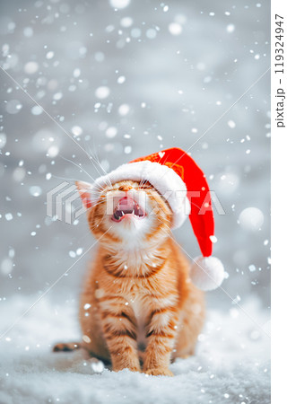 Cute ginger cat sitting in Santa Claus red hat on light background 119324947