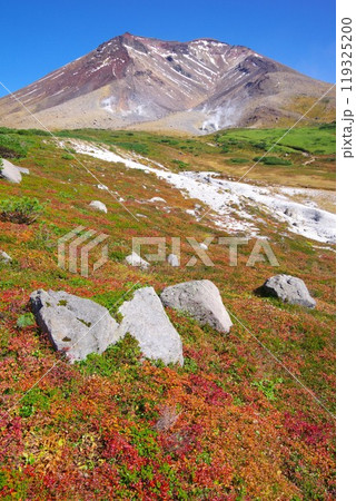 北海道東川町 紅葉時期の旭岳 北海道東川町 紅葉時期の旭岳 119325200
