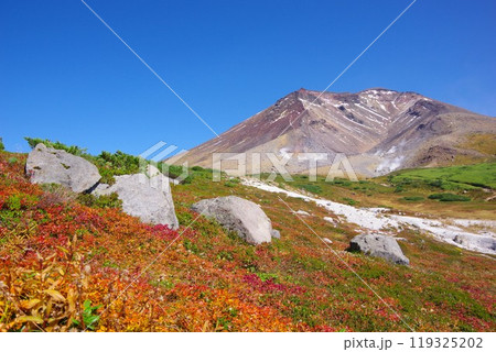 北海道東川町　紅葉時期の旭岳 119325202