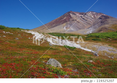 北海道東川町　紅葉時期の旭岳 119325207