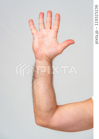 Hand raised in greeting against a plain background Hand raised in greeting against a plain background 119325236