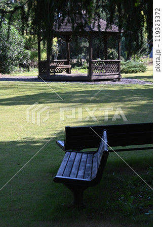 緑豊かな公園のベンチ 119325372