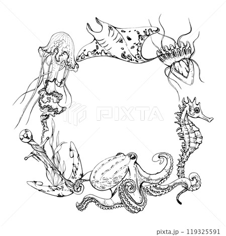 Marine life, sea ocean underwater creatures fish, shells algae seaweed, Ink and pen sketch hand drawn. Border frame illustration, stylized, isolated on white. For zoo shop, aquarium, cosmetics, resort Marine life, sea ocean underwater creatures fish, shells algae seaweed, Ink and pen sketch hand drawn. Border frame illustration, stylized, isolated on white. For zoo shop, aquarium, cosmetics, resort 119325591