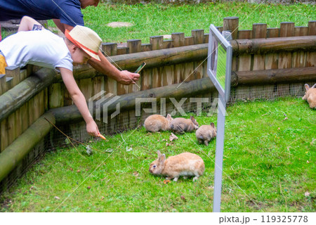Rabbit on the grass. Animals in the wild Rabbit on the grass. Animals in the wild 119325778