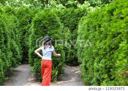 Kid baby toddler playing in tree labyrinth park sunny day. Belarus, Minsk,2023 Kid baby toddler playing in tree labyrinth park sunny day. Belarus, Minsk,2023 119325971