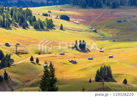 Alpe di Siusi, Italy aerial panorama, Dolomites 119326220
