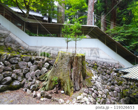 曹洞宗 大雄山最乗寺(神奈川県南足柄市大雄町) 曹洞宗 大雄山最乗寺(神奈川県南足柄市大雄町) 119326653