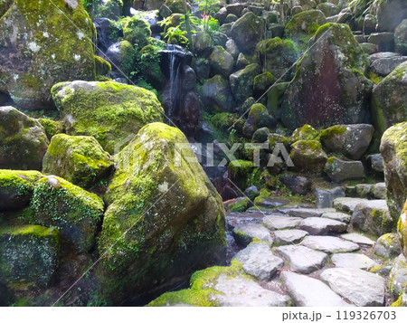 曹洞宗 大雄山最乗寺（神奈川県南足柄市大雄町） 119326703