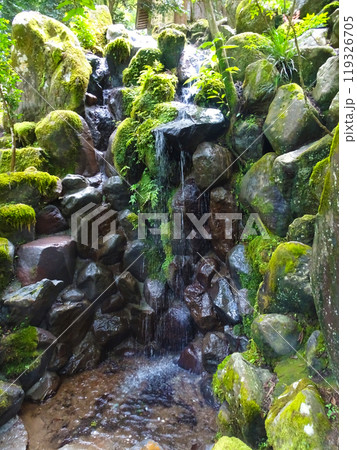 曹洞宗 大雄山最乗寺(神奈川県南足柄市大雄町) 曹洞宗 大雄山最乗寺(神奈川県南足柄市大雄町) 119326705