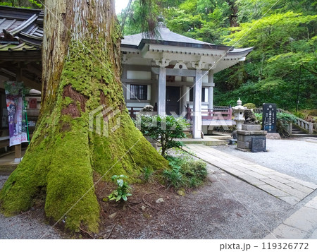 曹洞宗 大雄山最乗寺（神奈川県南足柄市大雄町） 119326772