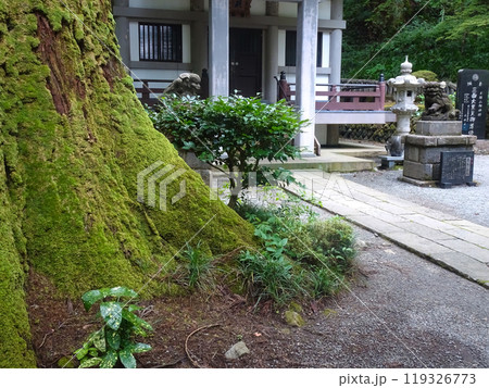 曹洞宗 大雄山最乗寺（神奈川県南足柄市大雄町） 119326773