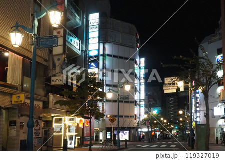 新宿二丁目　仲通り 119327019