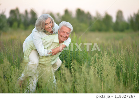 Beautiful senior couple relaxing and posing in the summer park 119327267
