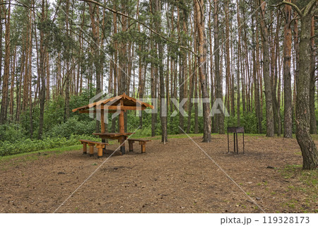 Resting place with gazebo and barbecue in the forest on the glade Resting place with gazebo and barbecue in the forest on the glade 119328173