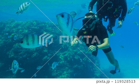 Scuba diver in the sea 119328513
