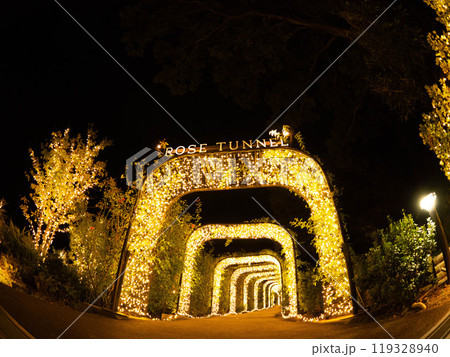 イルミネーションが輝く冬の夜の公園 119328940