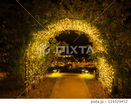 イルミネーション イルミネーション 119329452