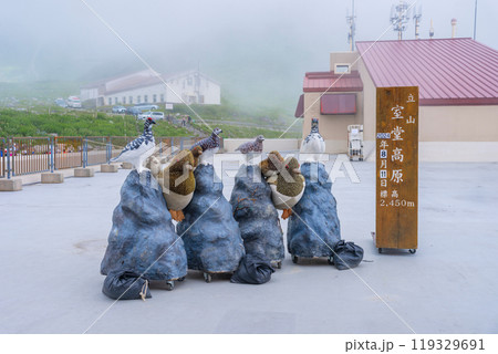 室堂高原 119329691