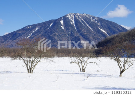 冬の小田代ヶ原と男体山 119330312