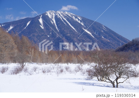 冬の小田代ヶ原と男体山 119330314
