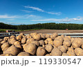 北海道の美味しい新鮮なじゃがいも 119330547