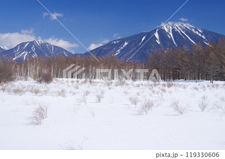 冬の小田代ヶ原と男体山・大真名子山 冬の小田代ヶ原と男体山・大真名子山 119330606