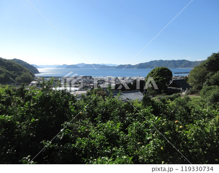 愛媛県・忽那諸島の怒和島の街並み 愛媛県・忽那諸島の怒和島の街並み 119330734