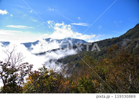 秋の甲子山 119330869