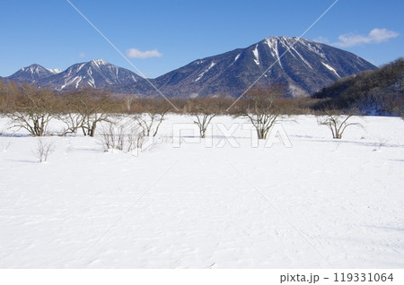 冬の小田代ヶ原と男体山・大真名子山・小真名子山 冬の小田代ヶ原と男体山・大真名子山・小真名子山 119331064