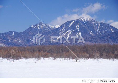 冬の小田代ヶ原と大真名子山・小真名子山 冬の小田代ヶ原と大真名子山・小真名子山 119331345