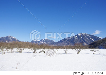 冬の小田代ヶ原と男体山・大真名子山・小真名子山・太郎山 冬の小田代ヶ原と男体山・大真名子山・小真名子山・太郎山 119331581