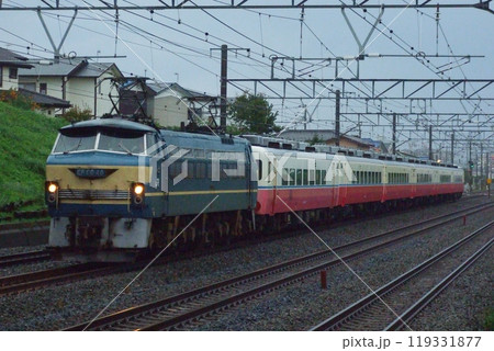 東海道本線を上京するEF66-48号機牽引の14系(リゾート編成)団体列車_2008/10/24撮影 119331877