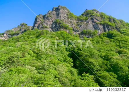 見晴台から望む妙義金洞山 119332287