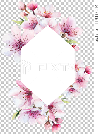 Frame with watercolor pink cherry flowers and green leaves, wedding sakura isolated illustration 119332314