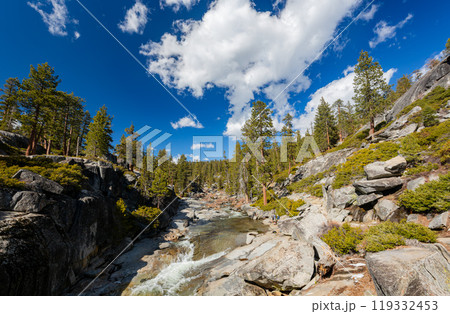 Sunny view of the landscape at Yosemite National Park Sunny view of the landscape at Yosemite National Park 119332453