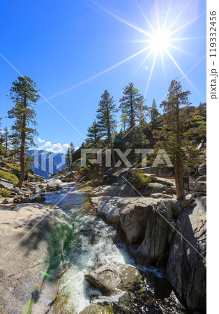 Sunny view of the landscape at Yosemite National Park Sunny view of the landscape at Yosemite National Park 119332456