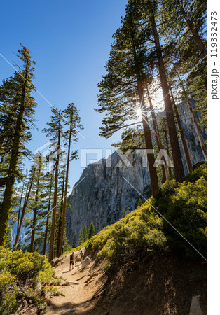 Sunny view of the landscape at Yosemite National Park Sunny view of the landscape at Yosemite National Park 119332473