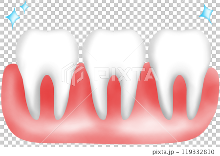 Healthy human teeth with gum Healthy human teeth with gum 119332810