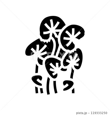 gotu kola ayurvedic herb glyph icon vector illustration gotu kola ayurvedic herb glyph icon vector illustration 119333250