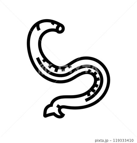 hookworm parasite line icon vector illustration 119333410