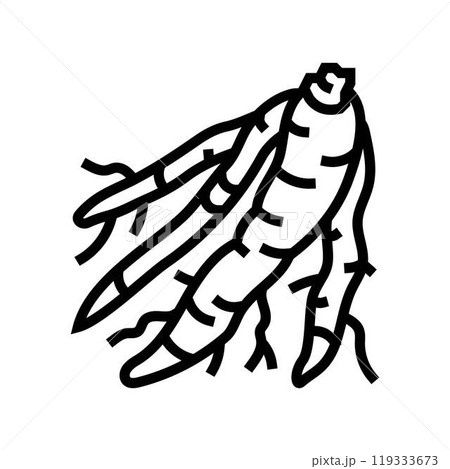 shatavari ayurvedic herb line icon vector illustration 119333673