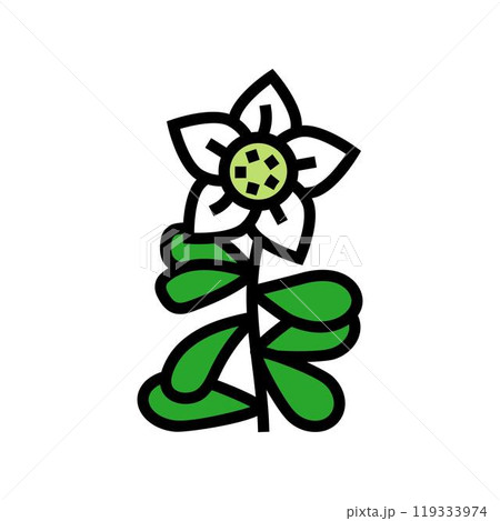 brahmi ayurvedic herb color icon vector illustration 119333974