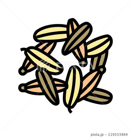 fennel seeds ayurvedic herb color icon vector illustration 119333984